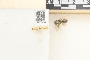 Media type: image;   Entomology 770233 Aspect: Labels